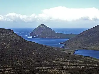 Jacquemart Island – südlichster Punkt