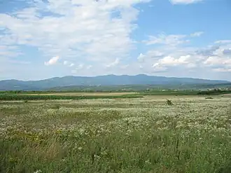 von Süden (Okrug Toplica)