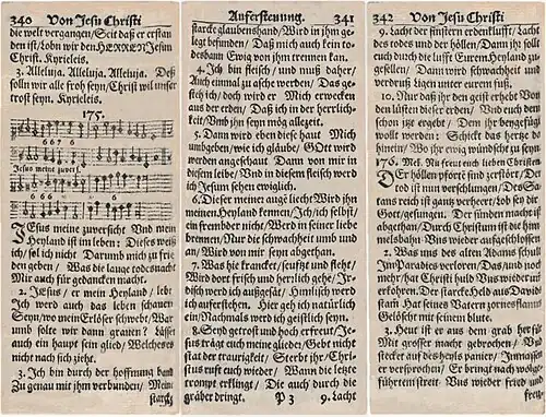 Jesus meine Zuversicht (1653)