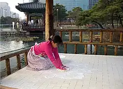 Jinran Kim, Übung in Vergeblichkeit, Seifenboden. Yeuido Park, Seoul, Korea 2008