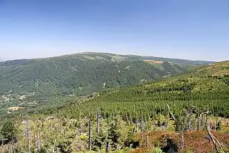 Tafelfichte vom Poledník (Mittagstein) gesehen