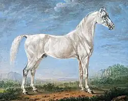 Bildnis eines Schimmels, 1823.