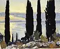 Cypress Trees at San Vigilio