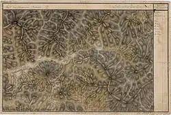 Rodna in der Josephinischen Landaufnahme von 1769 bis 1773