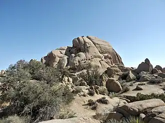 Joshua-Tree-Nationalpark