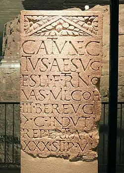 Epitaph für den keltischen Soldaten CATVNECTVS