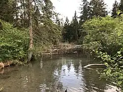 Augsburger Stadtwald