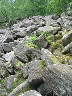 Felsenmeer am steilen Nordhang zwischen Königstuhl und Auerhahnenkopf bei Heidelberg