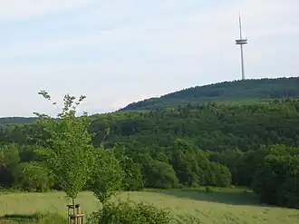 Kühkopf mit Fernmeldeturm