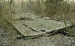 Kellerreste des Unterkunftsblocks 3 (2019)