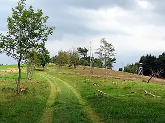 Gipfel des Kahlen Pön