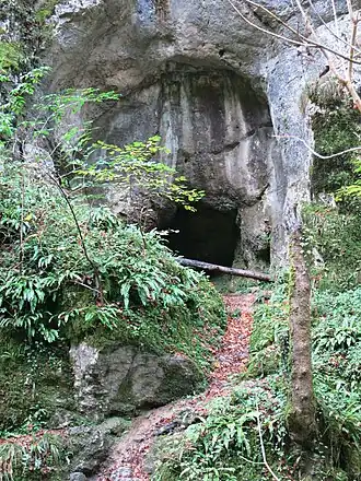 Kohlerhöhle