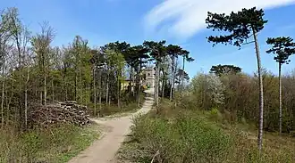 Gipfelregion mit Julienturm und Höllensteinhaus