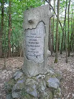 Steinerner Baum bei Štěchovice