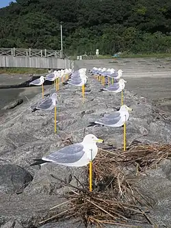 Installation Kamome no chūshajō[f 3]