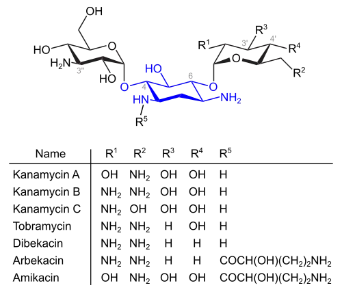 Kanamycine und verwandte Verbindungen (blau: Desoxystreptaminstruktur)
