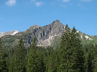 Walser Hammerspitze (vormals Schüsser), Kanzelwand und Zweiländerbahn