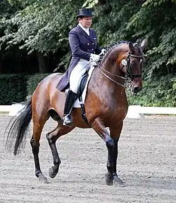 Karin Rehbein mit World Idol (2011)