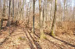 Terrasse am Bärenzwinger