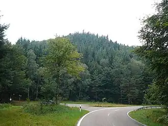 Katzenkopf, im Vordergrund die Kreisstraße 56 nach Hermersbergerhof
