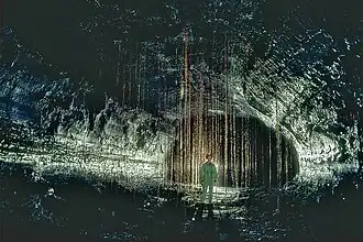 Kazumura-Höhle mit herabhängenden Baumwurzeln