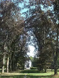 Kees'scher Park Blutbuchenallee