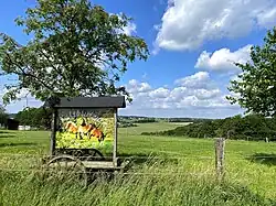 Pferdeweiden für Kaltblutzucht