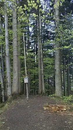 Gipfel des Keilkopfs mit improvisiertem Gipfelkreuz und Gipfelbuch