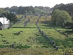 Steinsetzungen, Carnac