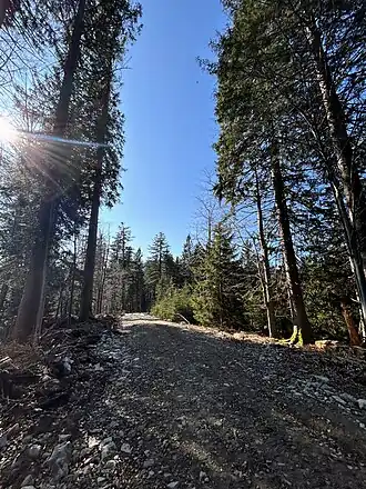 Kesselkopf, Gipfelbereich