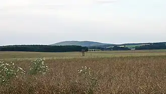Der Keulenberg von Wachau (Sachsen) aus gesehen.