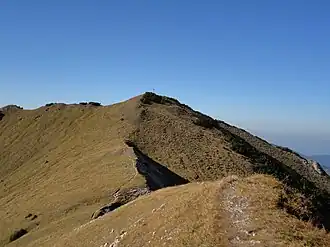 Der Gipfel des Kienjoch (von Süden)