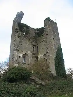 Kilkishen Castle