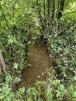 Kirchstätter Bach 336 m nördlich von Kirchstätt