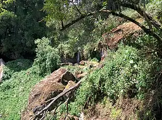 Eingang der Kitum-Höhle