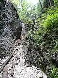 Schlucht Kláštorská roklina