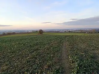 Blick über Chemnitz