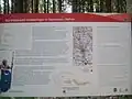Örtliche Informationstafel