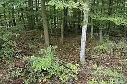 Vom Kleinkastell sind oberirdisch kaum noch Geländespuren sichtbar