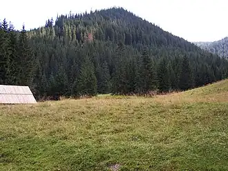 Blick von der Alm Polana Huciska