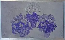 Raster­klischee für Halb­ton­ab­bildungen aus Zink zum Buch­druck