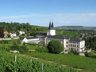 Neues Kloster Johannisberg; links: Ortsteil Berg, oben im Hintergrund: Schloss Johannisberg auf dem Johannisberg, rechts: Ortsteil Grund
