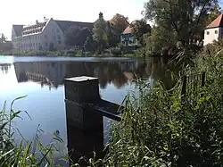 Mönch des Klosterweihers Wald