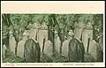 Um 1900: Stereoskopie als kolorierte Ansichtskarte Nr. 782 von Knackstedt & Näther, Hamburg