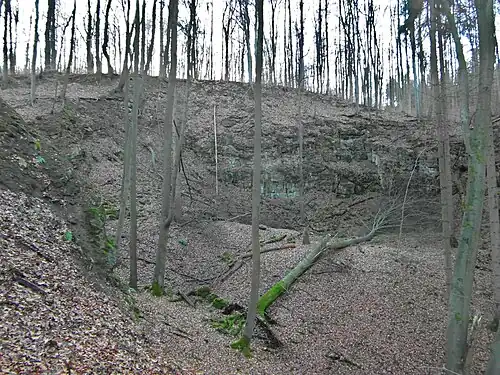 Kniggescher Kalksteinbruch