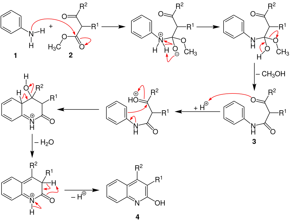 Knorr-Chinolinsynthese Mechanismus V3
