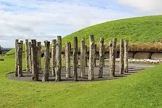 Knowth Timber Circle