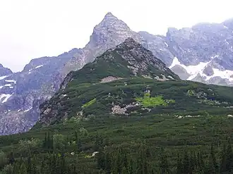 Blick von der nördlich gelegenen Alm Hala Gąsienicowa auf den Mały Kościelec und den Kościelec dahinter