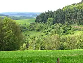 Der Westhang des Königsberges