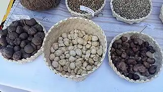 Konjac, Lichtnüsse und Cashewnüsse